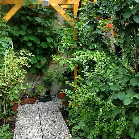 Apartment Kleine *